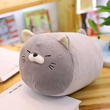 Load image into Gallery viewer, Fatty Cat Plush Pillow Fully Stuffed Squishy Animals Bolster Pillow Grey/Brown Cats Sleeping Companion Kids Adults 40/50cm
